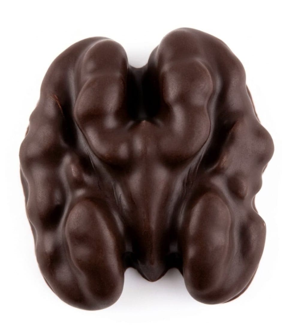 Dark Chocolate Roasted Walnuts